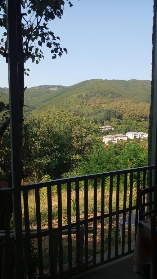 Pirosmani 66 Hotel Sighnaghi Exterior photo